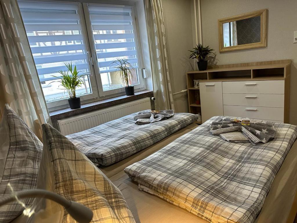 Christels Ferienwohnung 2 In Thale Mit Ueberdachter Terrasse, Kueche Mit Tv & Geschirrspueler Dış mekan fotoğraf