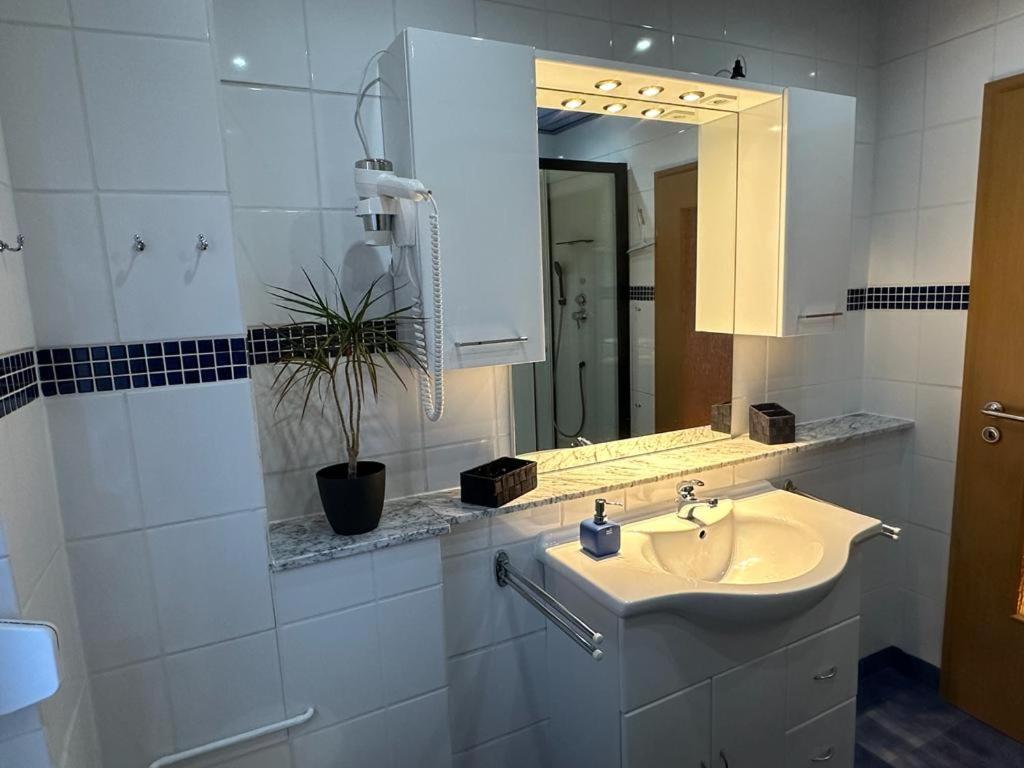 Christels Ferienwohnung 2 In Thale Mit Ueberdachter Terrasse, Kueche Mit Tv & Geschirrspueler Dış mekan fotoğraf